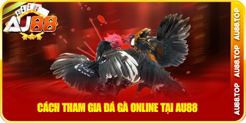 Cách tham gia đá gà online tại au88