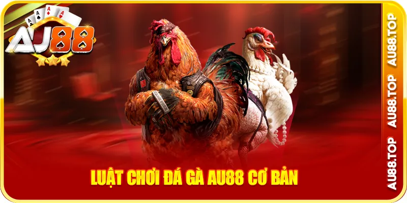 Luật chơi đá gà au88 cơ bản