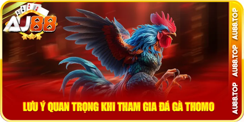 Lưu ý quan trọng khi tham gia đá gà thomo