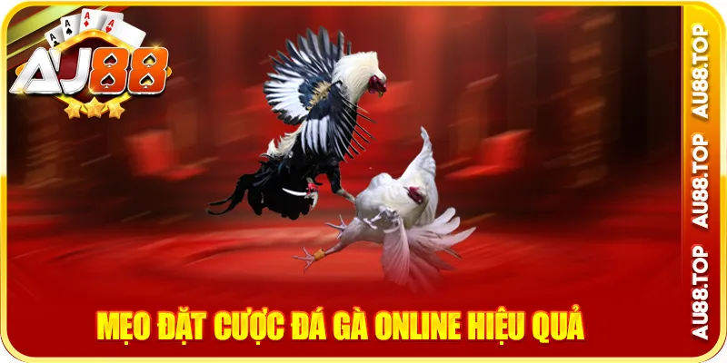 Mẹo đặt cược đá gà online hiệu quả